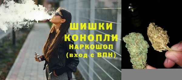 прущие грибы Арсеньев