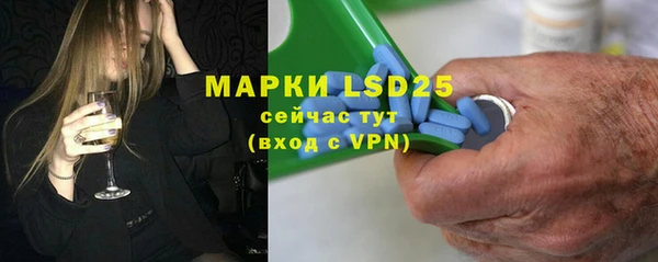 прущие грибы Арсеньев
