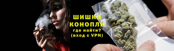 прущие грибы Арсеньев