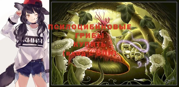 прущие грибы Арсеньев