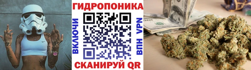 Бошки Шишки семена закладки мега ссылка Таруса